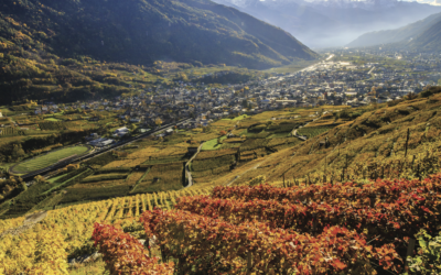 ALMANACCO AGRICOLO VALTELLINESE 2025